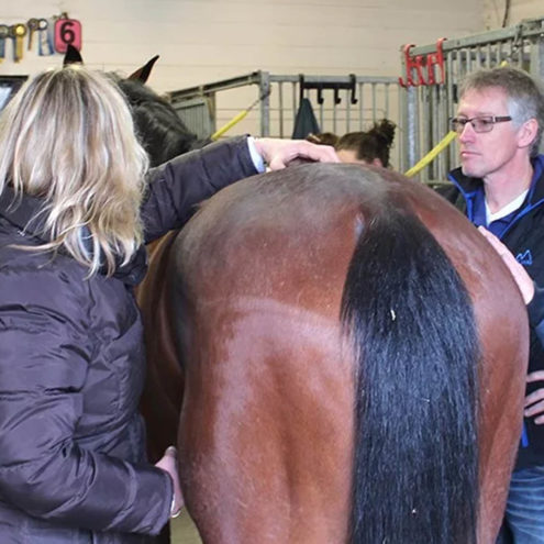 017 atlas horse square professional education launch