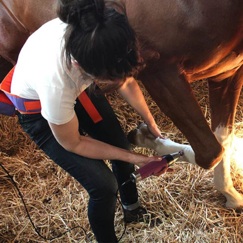 018 atlas horse square marta lindquist